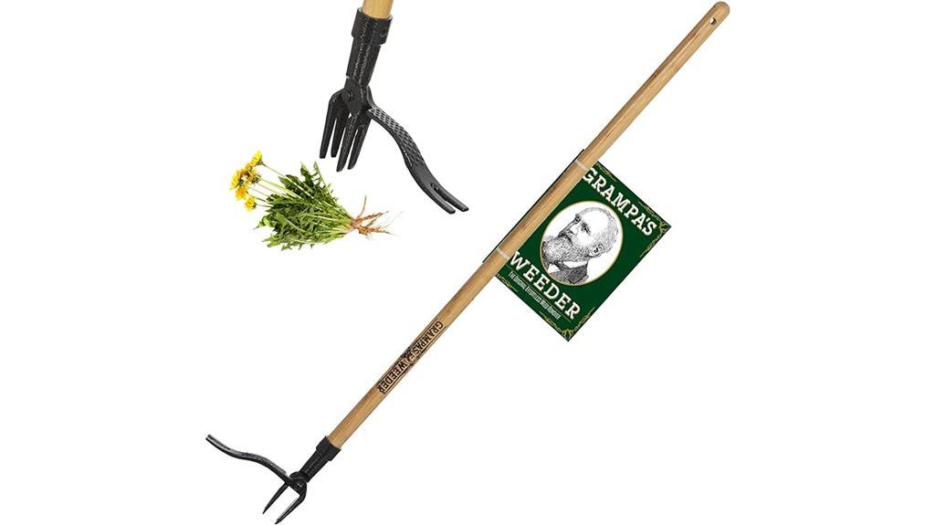 effective weed removal tool
