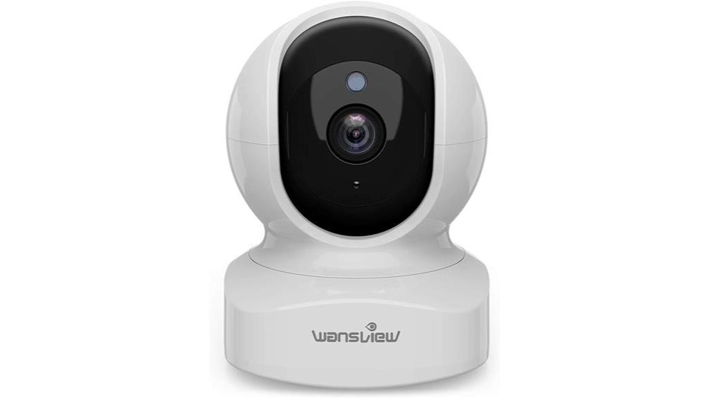 home surveillance with audio